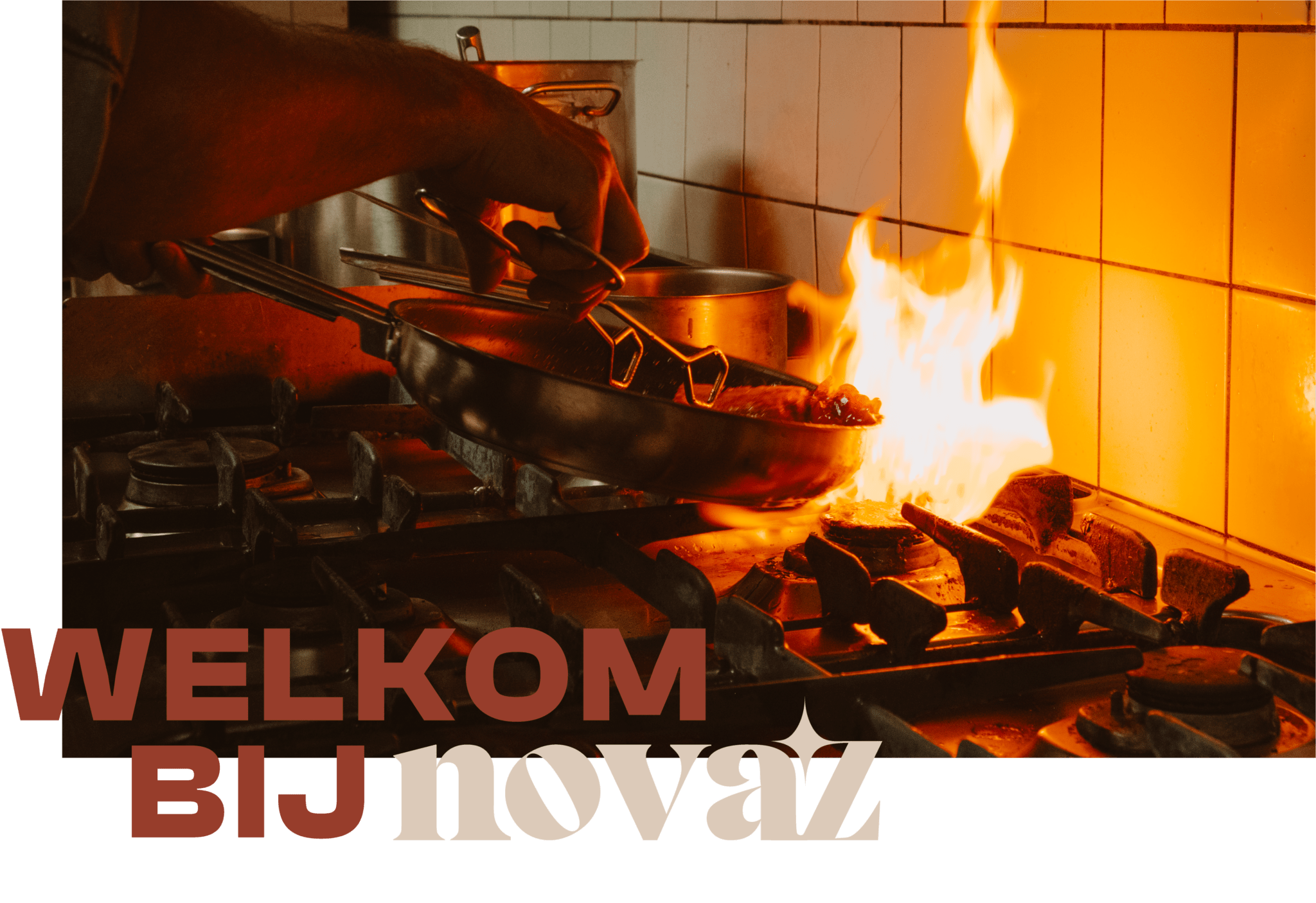 Novaz Home - Novaz borrelz and bitez